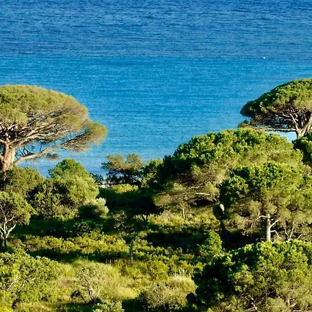 ホリデーパーク Belvedere De Palombaggia ポルトヴェッキオ